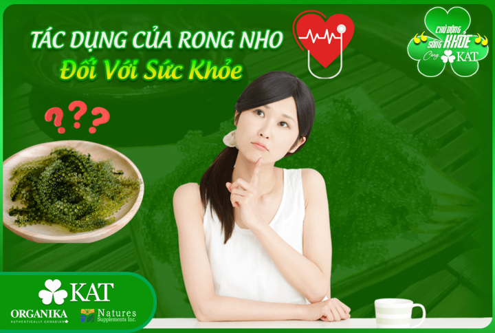 Tác dụng của rong nho đối với sức khỏe