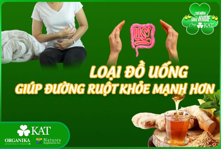 5 loại đồ uống giúp đường ruột khỏe mạnh hơn