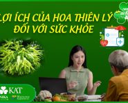 Lợi ích của hoa thiên lý đối với sức khỏe