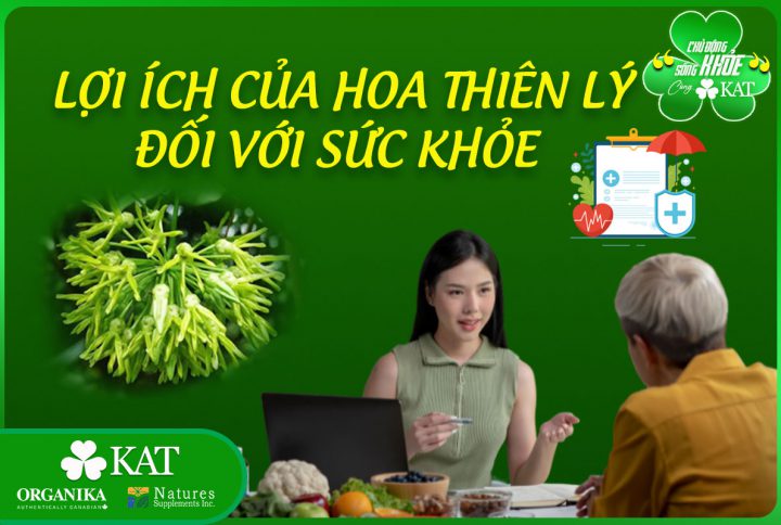 Lợi ích của hoa thiên lý đối với sức khỏe