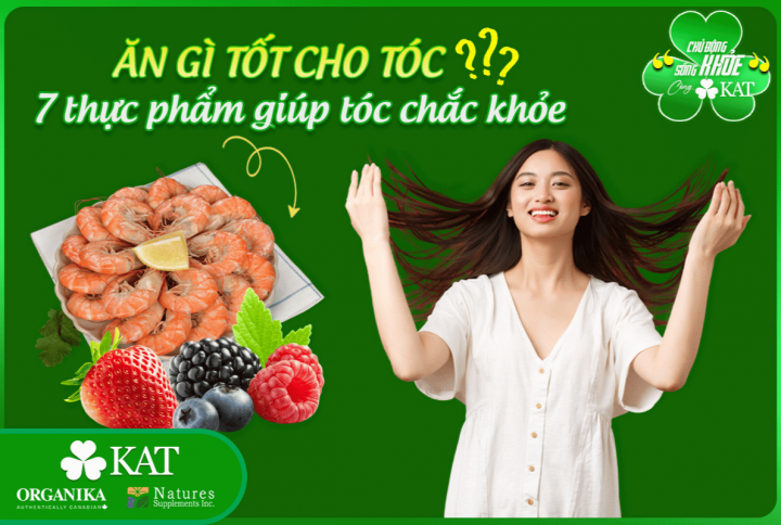 Ăn gì tốt cho tóc? Gợi ý 7 thực phẩm giúp tóc chắc khỏe