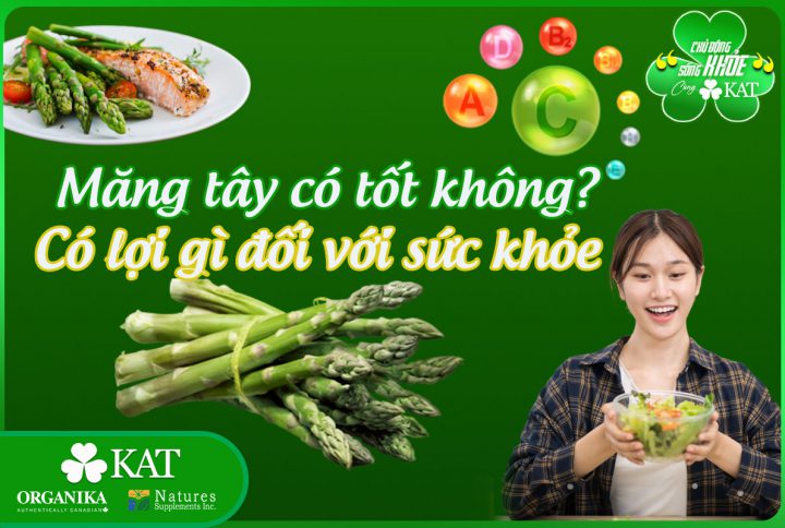 Măng tây có tốt không? Có lợi ích gì đối với sức khỏe?