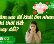 Làm sao để khỏi ốm nhanh khi thời tiết thay đổi?