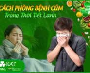 Hướng dẫn cách phòng bệnh cúm mùa trong thời tiết lạnh Hướng dẫn cách phòng bệnh cúm mùa trong thời tiết lạnh