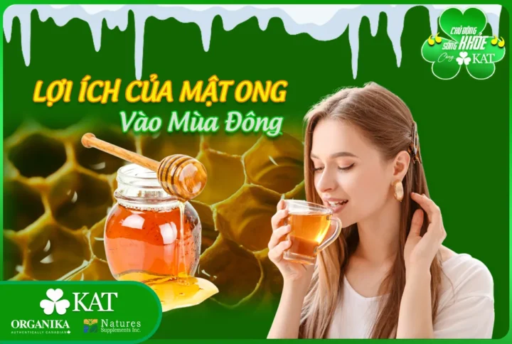 5 lợi ích của mật ong vào mùa đông có thể bạn chưa biết