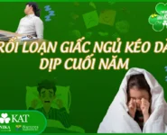 Rối loạn giấc ngủ kéo dài dịp cuối năm Rối loạn giấc ngủ kéo dài dịp cuối năm