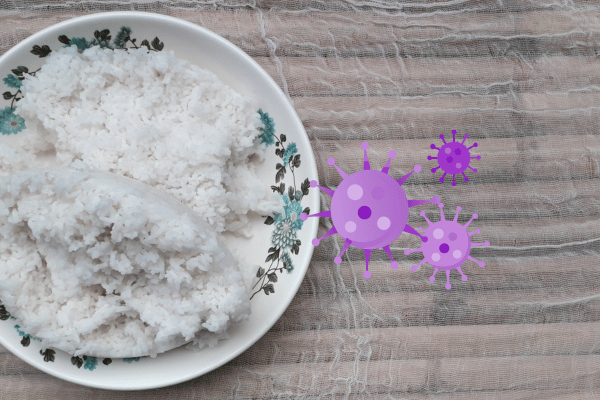 Vì sao cần bảo quản cơm thừa đúng cách?