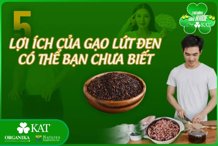 5 Lợi ích của gạo lứt đen có thể bạn chưa biết