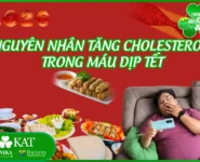 Nguyên nhân tăng cholesterol trong máu dịp Tết