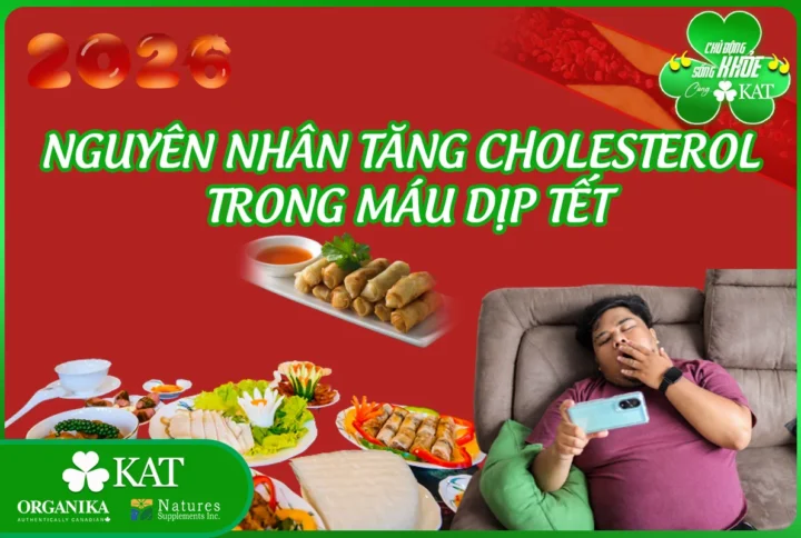 Nguyên nhân tăng cholesterol trong máu dịp Tết