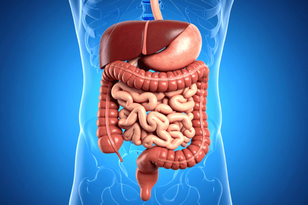 Nước đá có thể ảnh hưởng đến hệ tiêu hóa