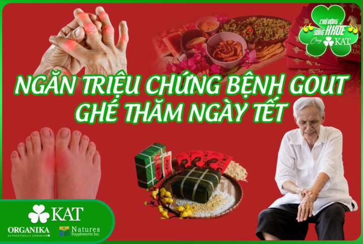 Ngăn triệu chứng của bệnh Gout ghé thăm ngày Tết