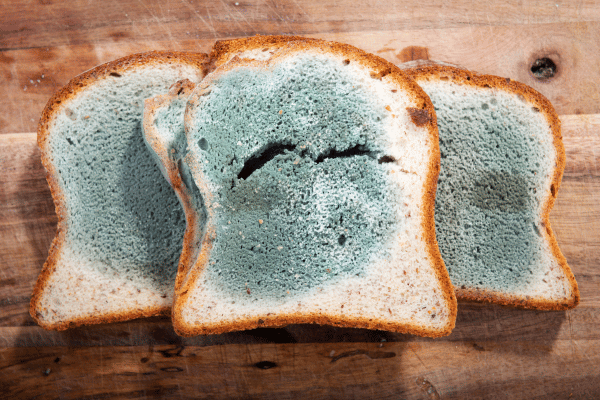 Hạn chế tiêu thụ đồ ăn không được bảo quản kĩ càng. 