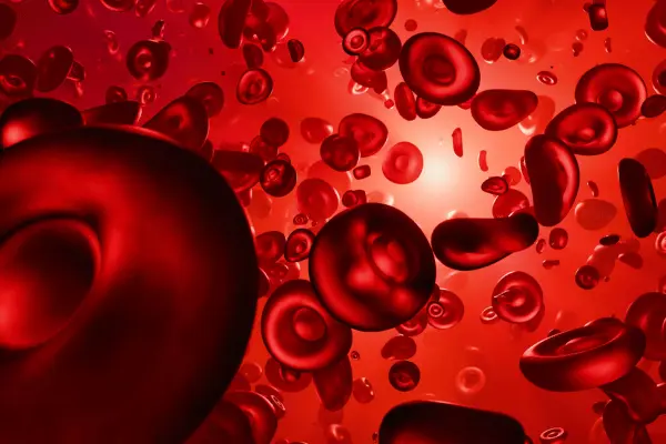 Thiếu máu là nguyên nhân gây lạnh tay chân