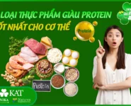 Bật mí 8 loại thực phẩm giàu protein tốt nhất cho sức khỏe