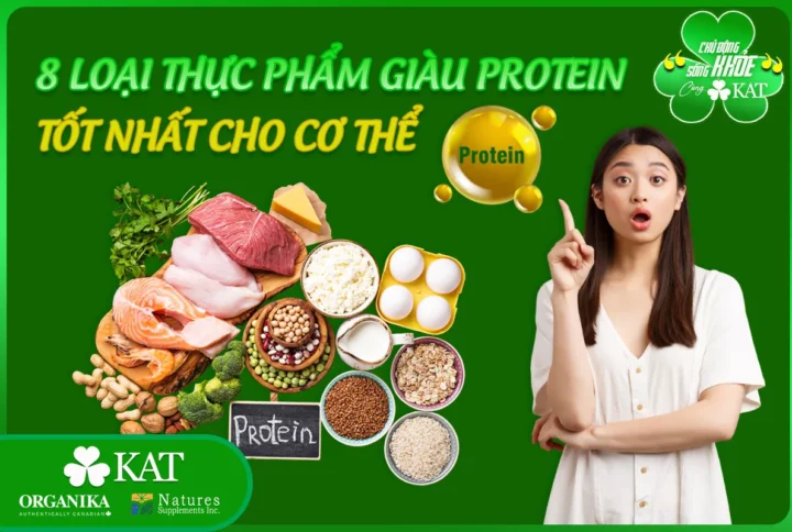 Bật mí 8 loại thực phẩm giàu protein tốt nhất cho sức khỏe